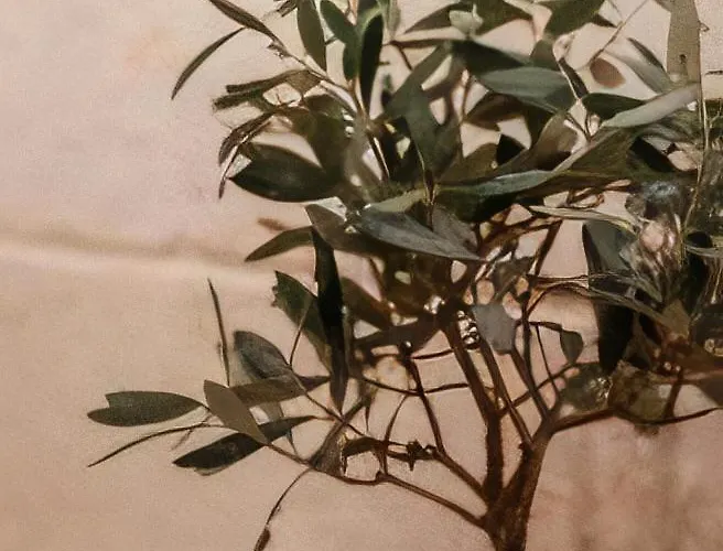 Casa Manfredi D'angio Отель типа 